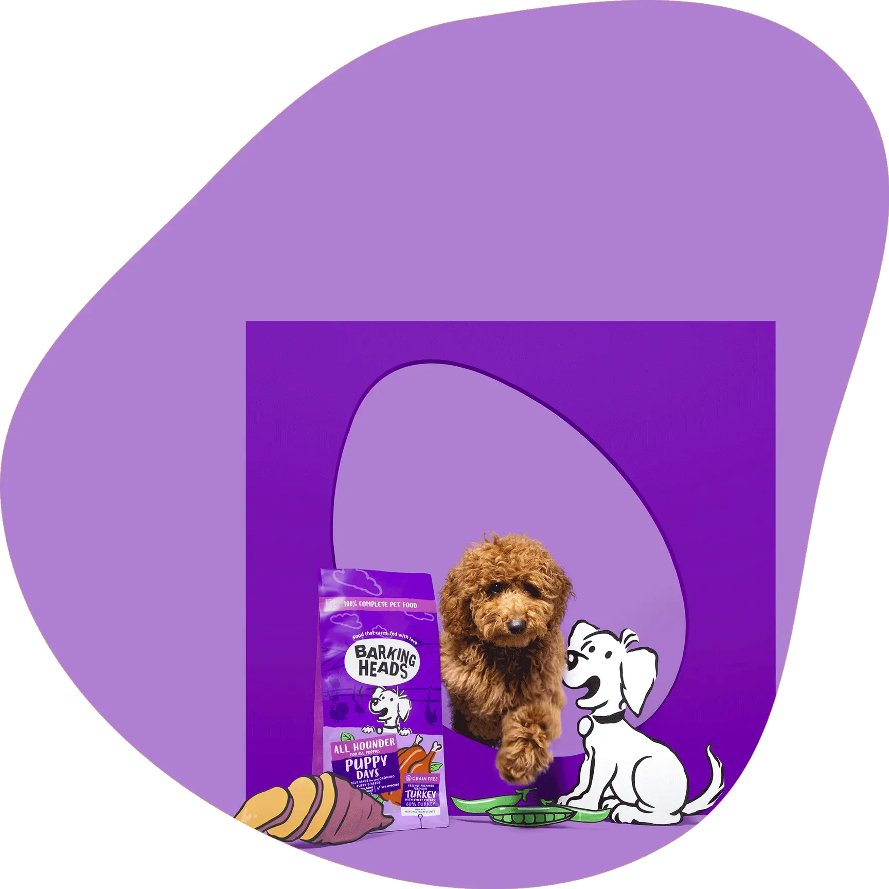 Baring Heads dog food bag with a dog and cartoon dog on a purple background