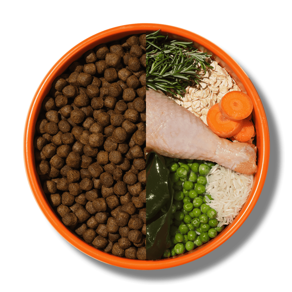 Dog bowl showing kibble and what goes into it
