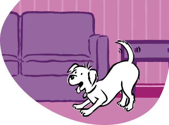 Rewards – Barking Heads & Meowing Heads