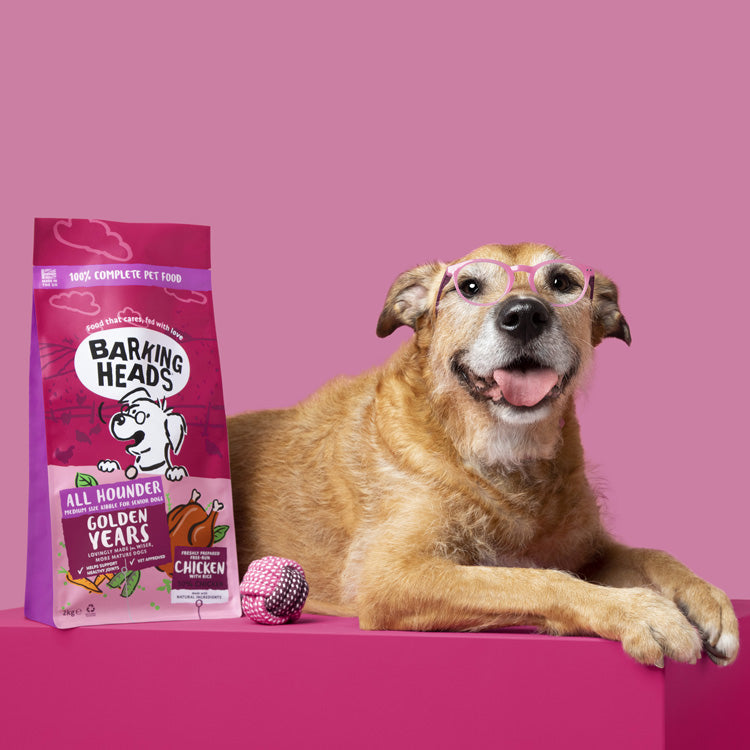 Dog with 'Barking Heads' pet food package on a pink background
