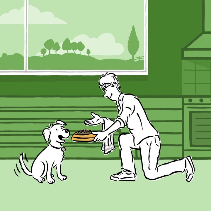 Rewards – Barking Heads & Meowing Heads