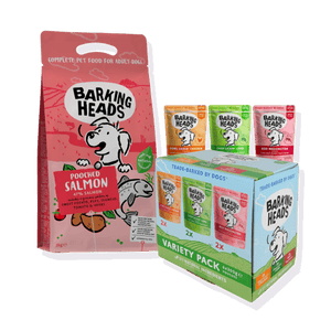 Dry & Wet Dog Food Combo