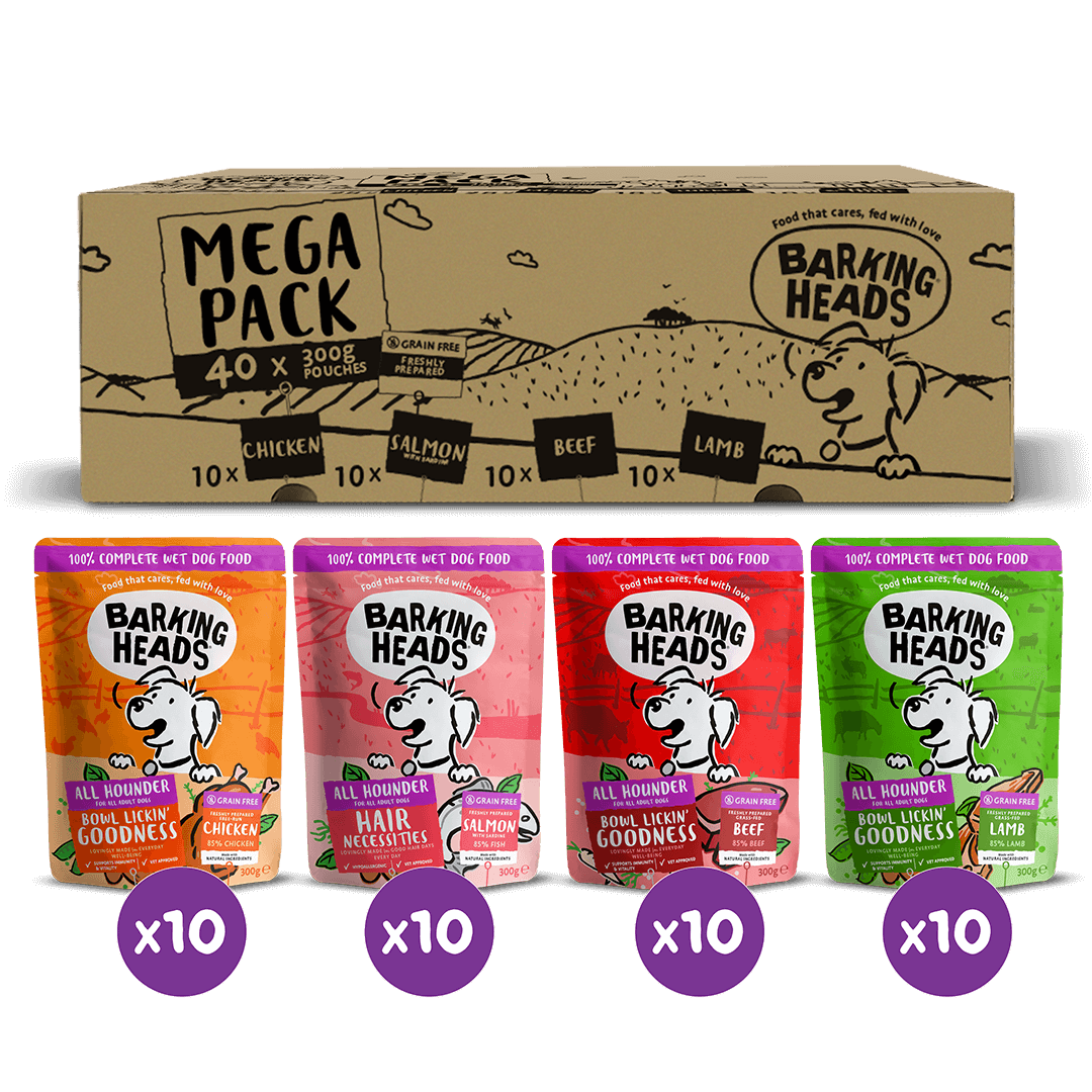 Barking Heads Mega Pack Wet Dog Food 40 x