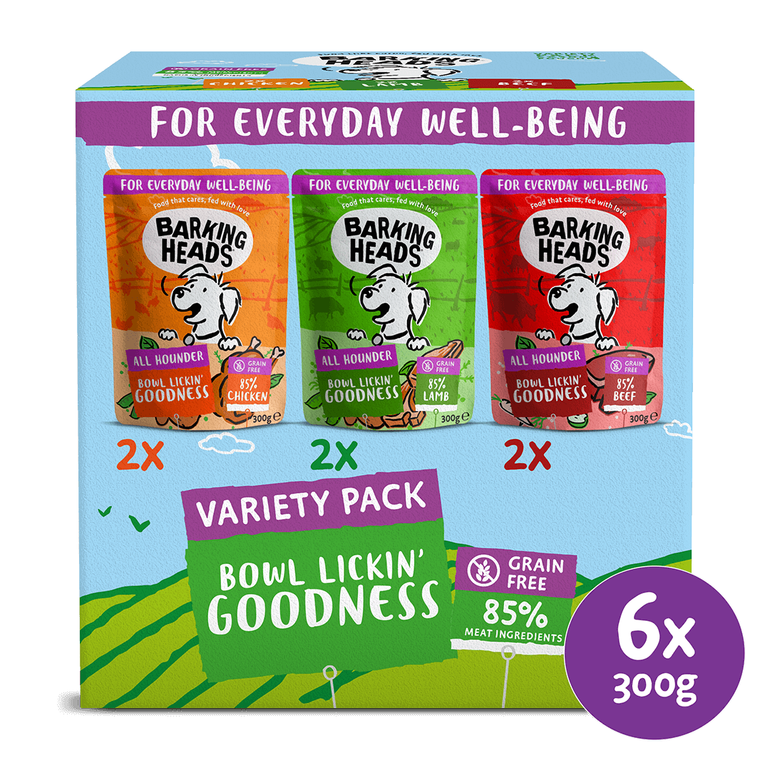 Variety Pack Wet Dog Food