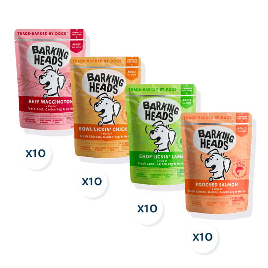 Barking Heads Mega Pack Wet Dog Food 40 x 300g – Barking Heads ...