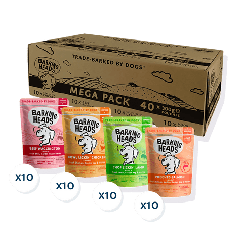 Barking Heads Mega Pack Wet Dog Food 40 x 300g