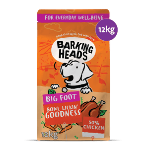 Big Foot - Bowl Lickin' Goodness Chicken Dry Dog Food