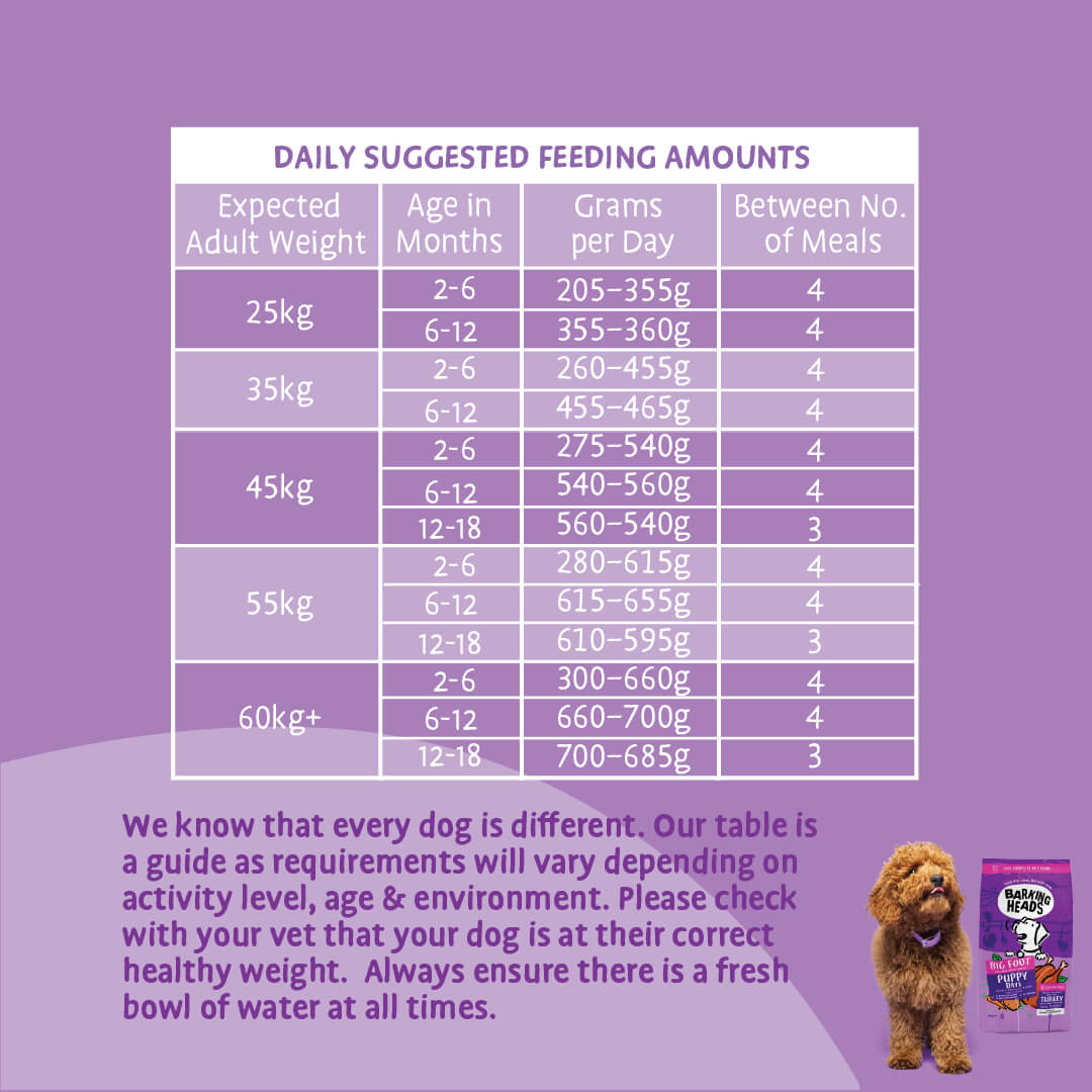 Big Foot - Puppy Days Turkey Dry Dog Food - Barking Heads & Meowing Heads