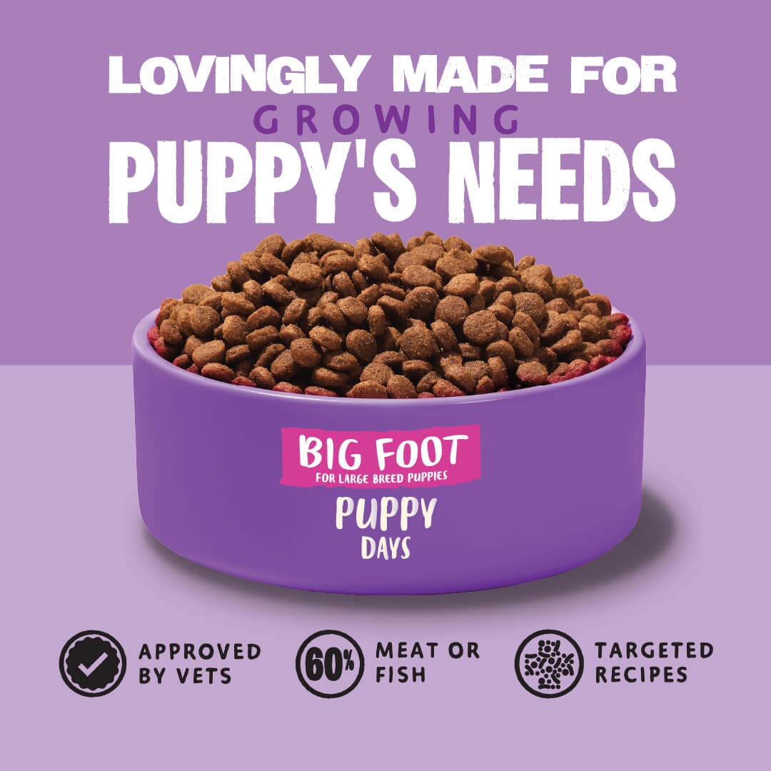 Big Foot - Puppy Days Turkey Dry Dog Food - Barking Heads & Meowing Heads