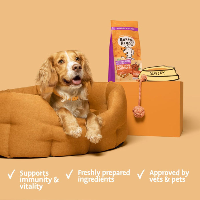 Bowl Lickin' Goodness Chicken Dry Dog Food - All Hounder - Barking Heads & Meowing Heads