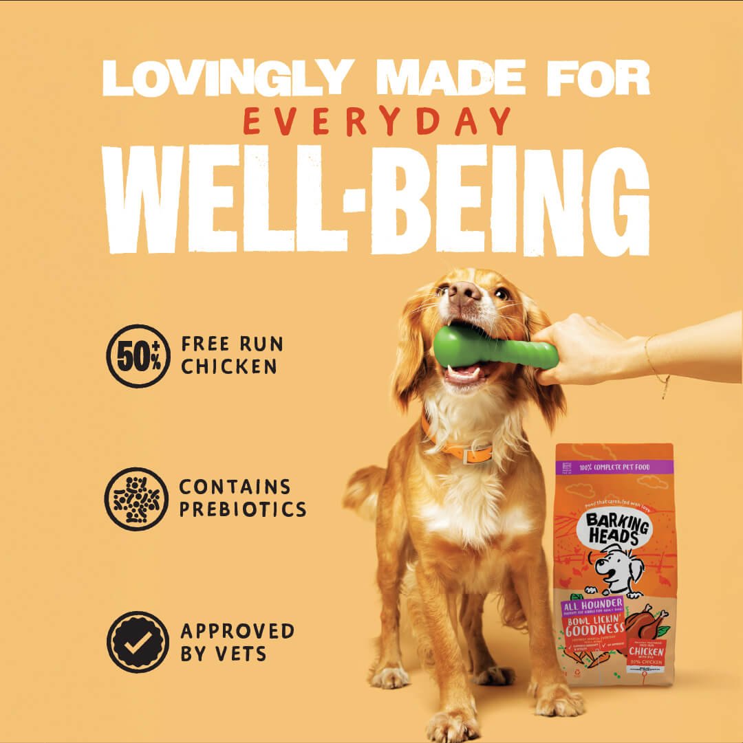 Bowl Lickin' Goodness Chicken Dry Dog Food - All Hounder - Barking Heads & Meowing Heads