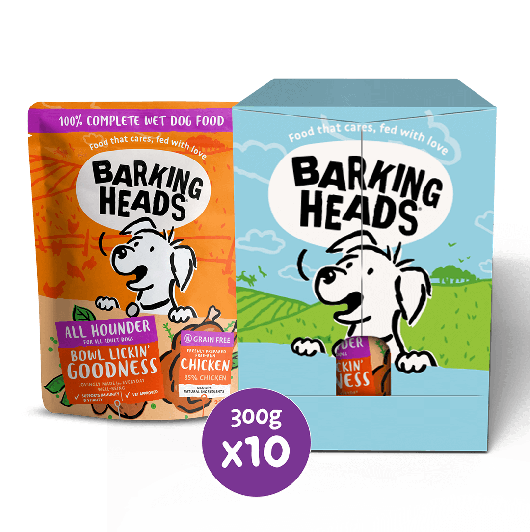 Bowl Lickin Goodness Chicken Wet Dog Food All Hounder