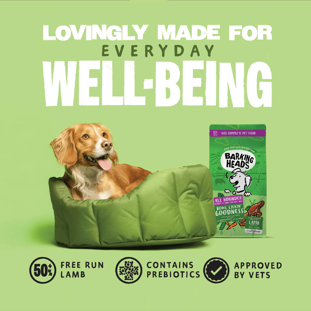 Bowl Lickin' Goodness Lamb Dry Dog Food - All Hounder - Barking Heads & Meowing Heads