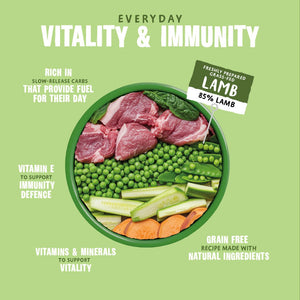 Bowl Lickin' Goodness Lamb Wet Dog Food - All Hounder - Barking Heads & Meowing Heads