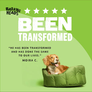 Bowl Lickin' Goodness Lamb Wet Dog Food - All Hounder - Barking Heads & Meowing Heads