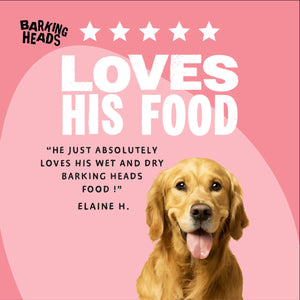 Bowl Linkin' Goodness Beef Wet Dog Food - All Hounder - Barking Heads & Meowing Heads