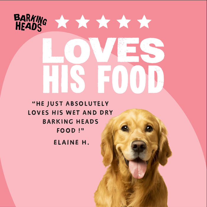 Bowl Linkin' Goodness Beef Wet Dog Food - All Hounder - Barking Heads & Meowing Heads