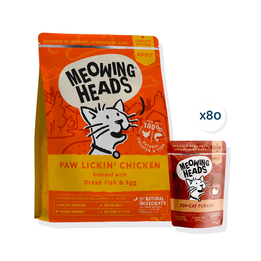 Cat Turkey Mega Bundle