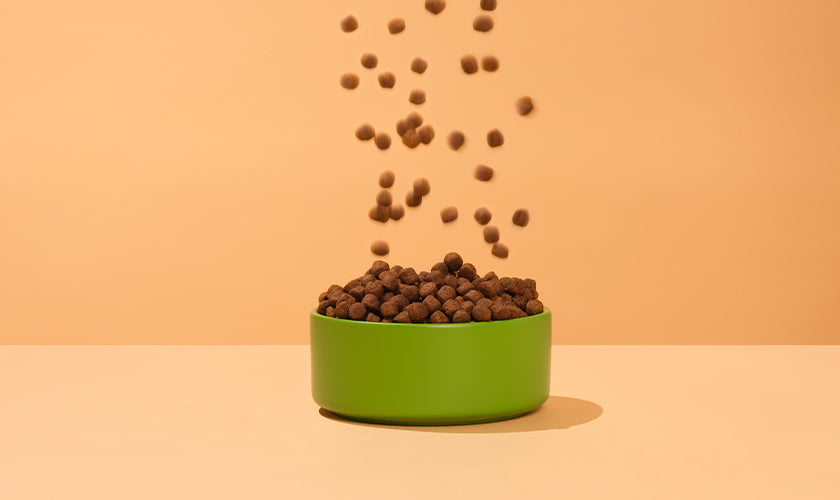 Bowl of Kibble with more raining down into the bowl