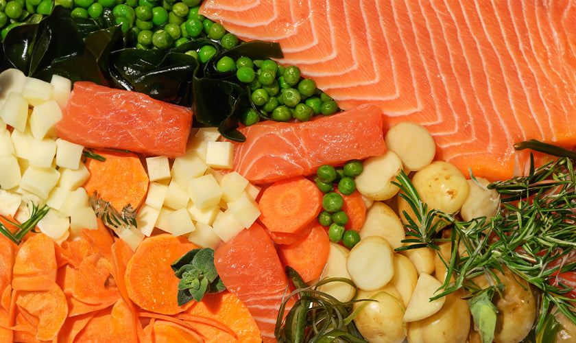 Ingredients, Vegetables and Salmon