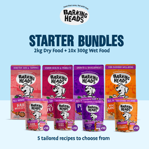 Dog Food Starter Pack