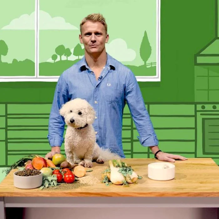 Dog with bag of food and cartoon dog