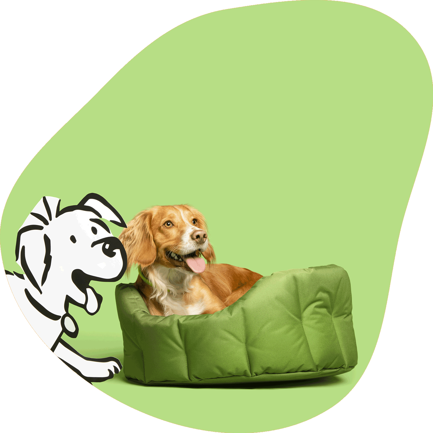 Dog lying on a green pet bed with a cartoon dog illustration on a green background