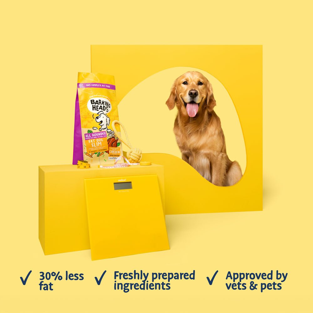 All Hounder Fat Dog Slim Chicken Low Fat Dry Dog Food – Barking Heads ...