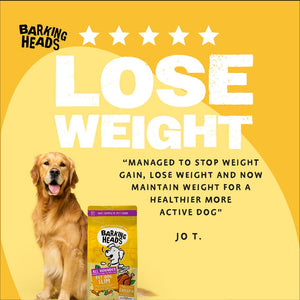 Fat Dog Slim Light Wet Dog Food - All Hounder - Barking Heads & Meowing Heads