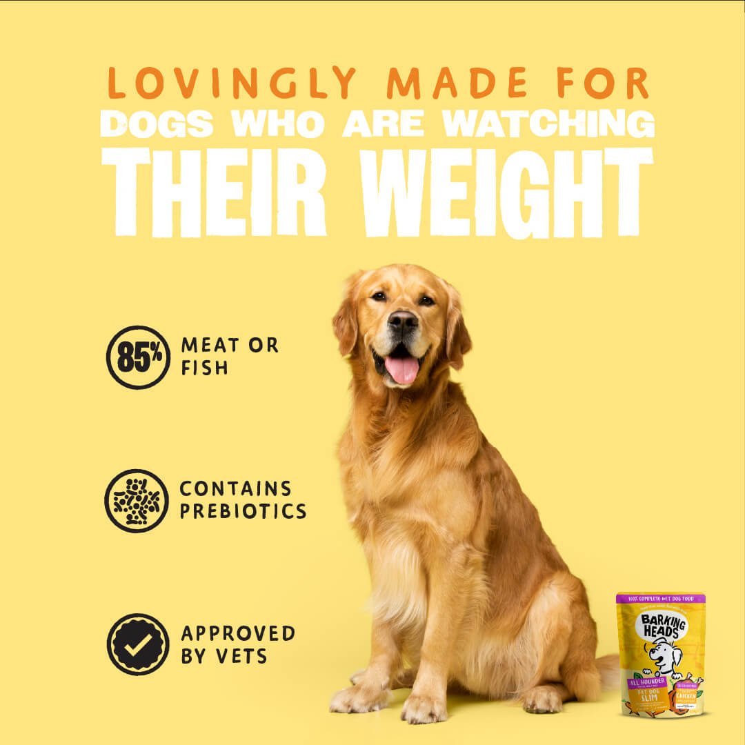 Fat Dog Slim Light Wet Dog Food - All Hounder - Barking Heads & Meowing Heads