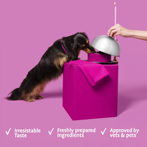 Fuss Pot Duck Dry Dog Food - All Hounder - Barking Heads & Meowing Heads