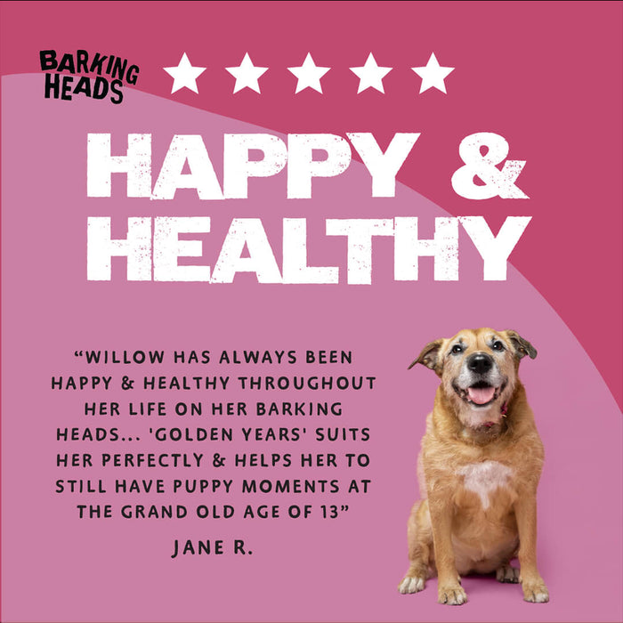 Golden Years Chicken Dry Dog Food - All Hounder - Barking Heads & Meowing Heads