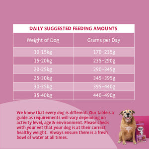 Golden Years Chicken Dry Dog Food - All Hounder - Barking Heads & Meowing Heads