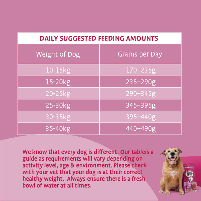 Golden Years Chicken Dry Dog Food - All Hounder - Barking Heads & Meowing Heads
