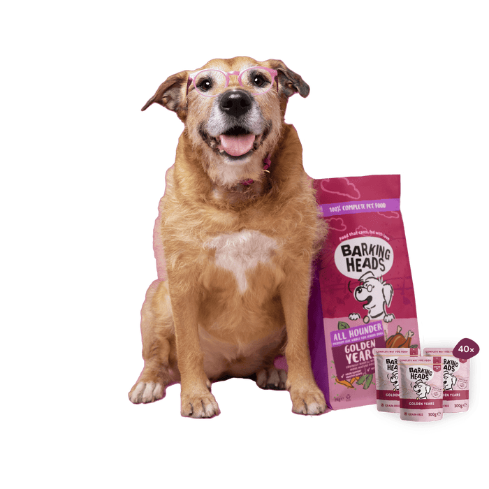 Golden Years Pack - Barking Heads & Meowing Heads