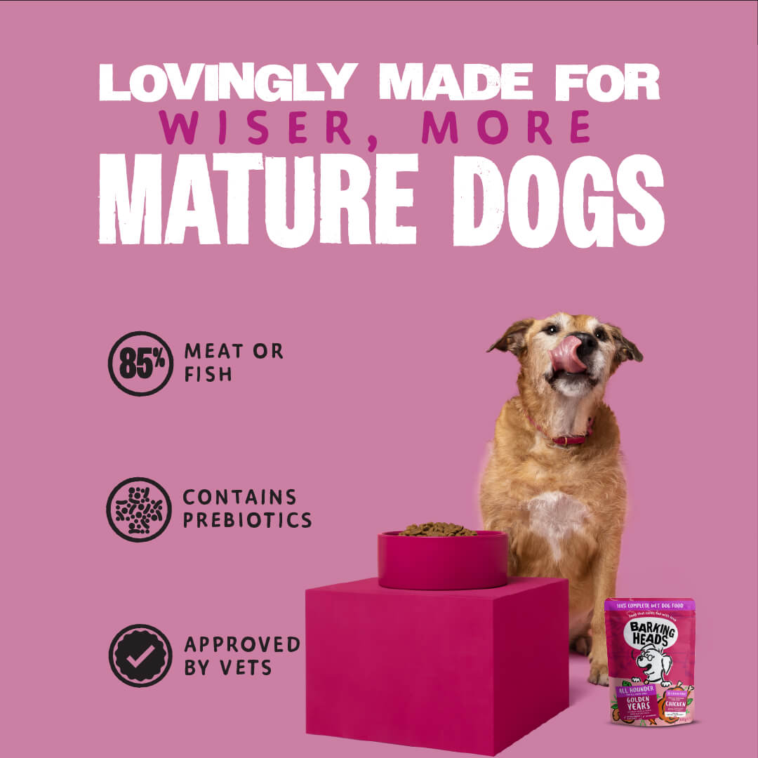 Golden Years Wet Food for Senior Dogs - All Hounder - Barking Heads & Meowing Heads