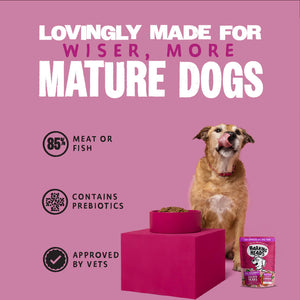 Golden Years Wet Food for Senior Dogs - All Hounder - Barking Heads & Meowing Heads