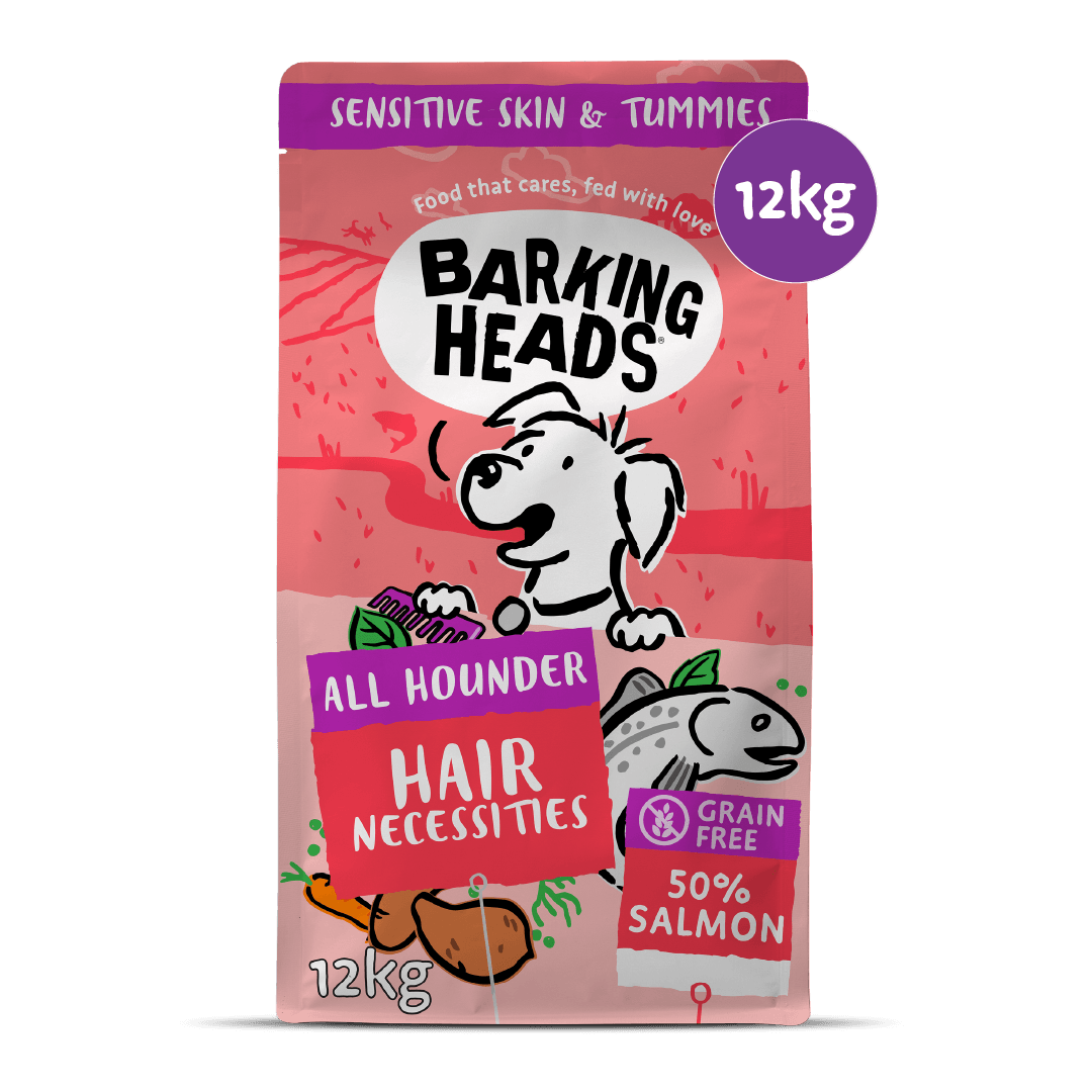 Hair Necessities Salmon Dry Dog Food - All Hounder - Barking Heads & Meowing Heads