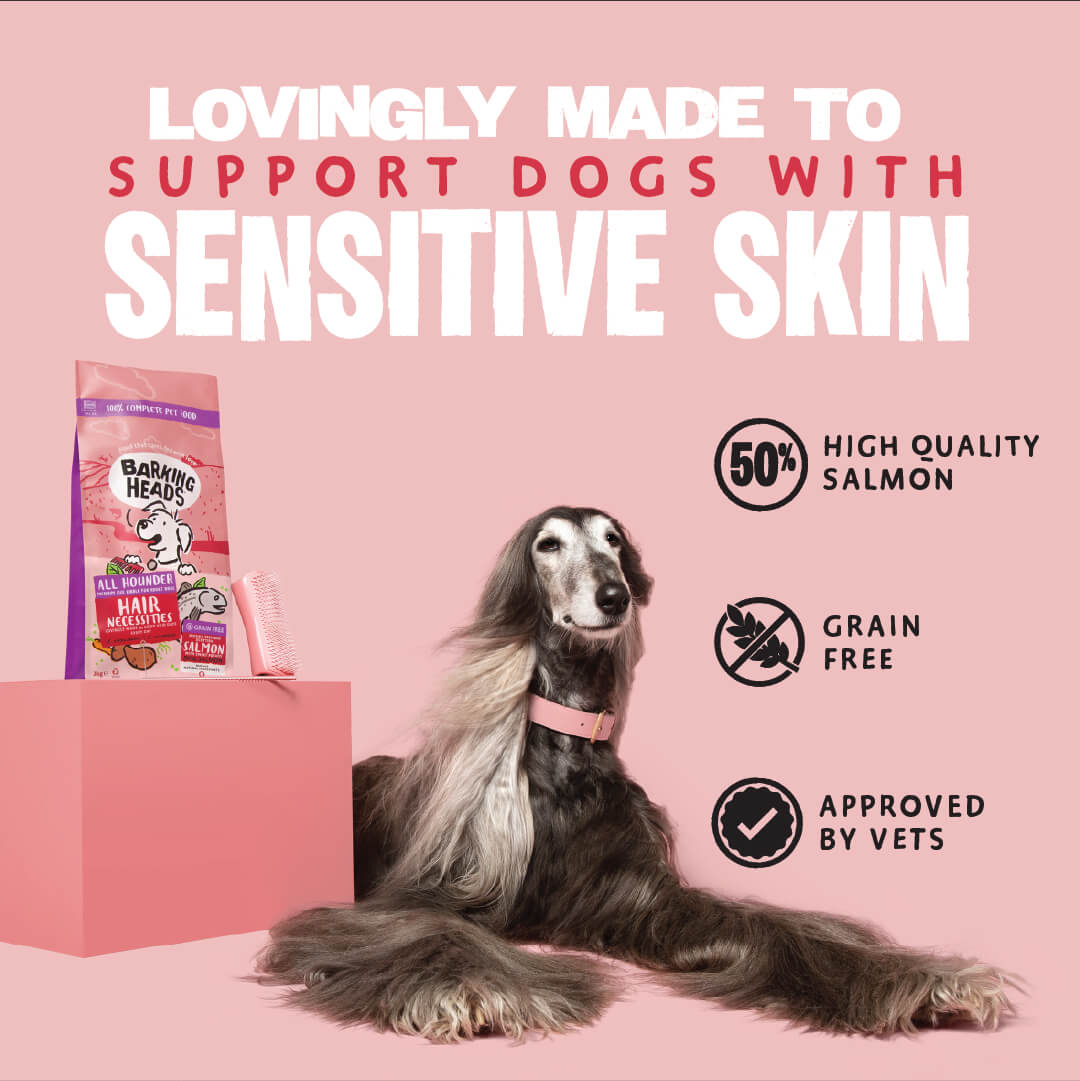 Hair Necessities Salmon Dry Dog Food - All Hounder - Barking Heads & Meowing Heads