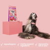 Hair Necessities Salmon Dry Dog Food - All Hounder - Barking Heads & Meowing Heads