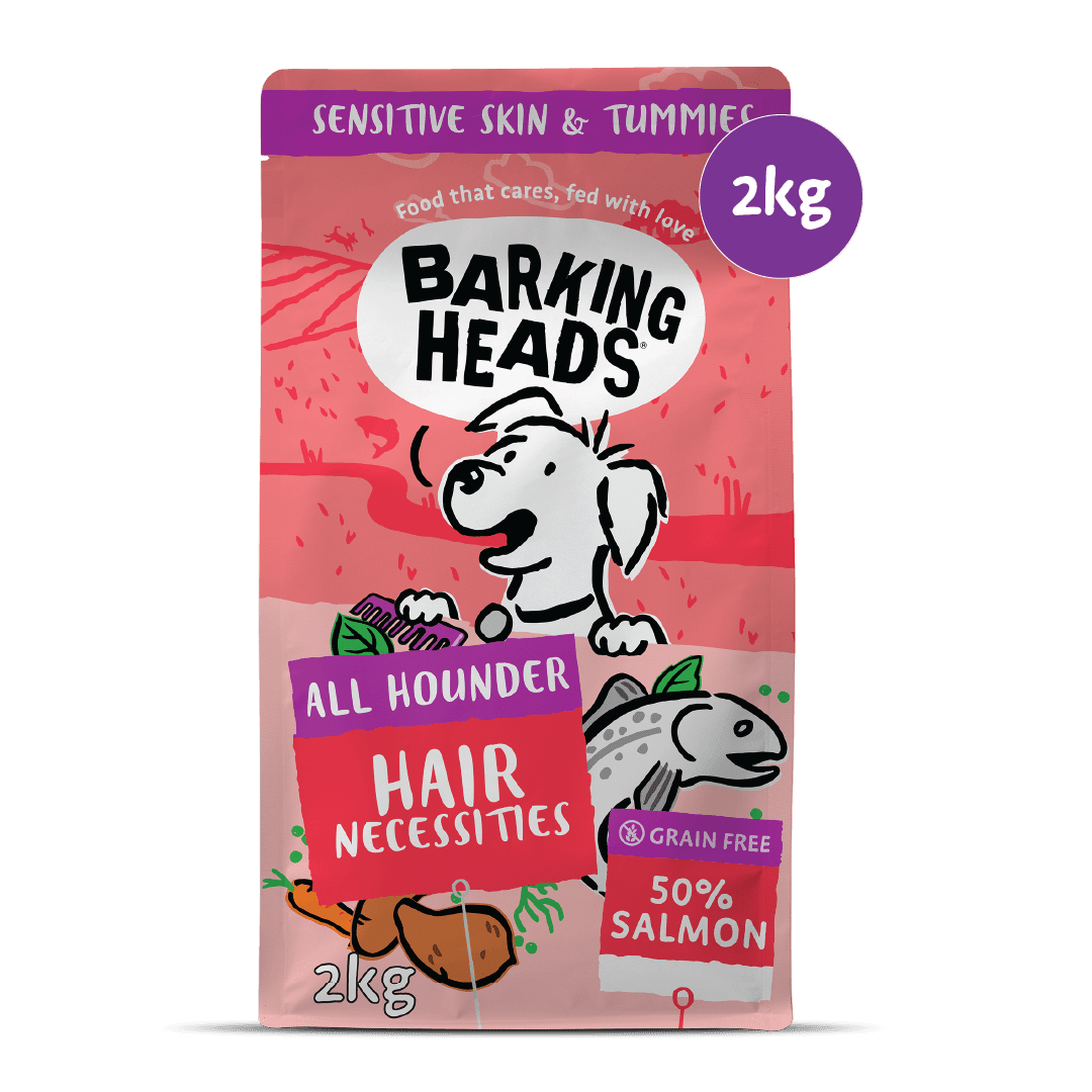 Hair Necessities Salmon Dry Dog Food - All Hounder - Barking Heads & Meowing Heads