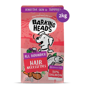 Hair Necessities Salmon Dry Dog Food - All Hounder - Barking Heads & Meowing Heads