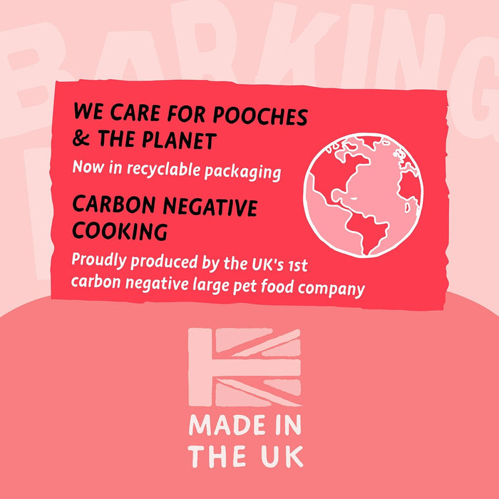 Hair Necessities Salmon Dry Dog Food - All Hounder - Barking Heads & Meowing Heads