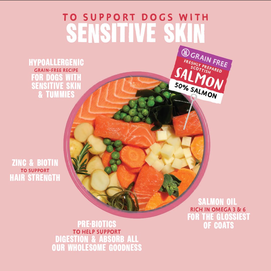 Hair Necessities Salmon Dry Dog Food - All Hounder - Barking Heads & Meowing Heads