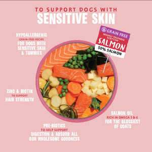 Hair Necessities Salmon Dry Dog Food - All Hounder - Barking Heads & Meowing Heads