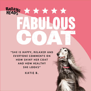 Hair Necessities Salmon Dry Dog Food - All Hounder - Barking Heads & Meowing Heads