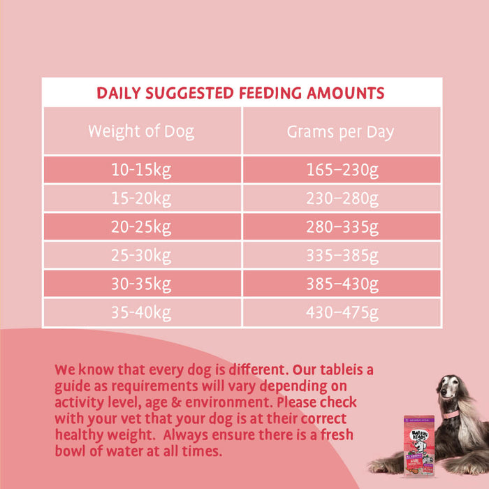 Hair Necessities Salmon Dry Dog Food - All Hounder - Barking Heads & Meowing Heads