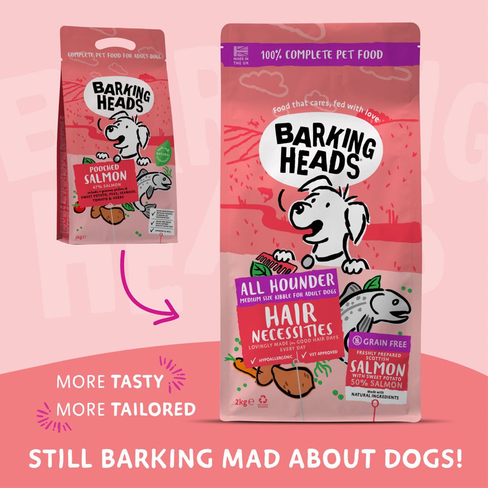 All Hounder Hair Necessities Salmon Hypoallergenic Grain-free Dry Dog ... - Grain Free Dog Food For Skin And Coat Problems And Itching