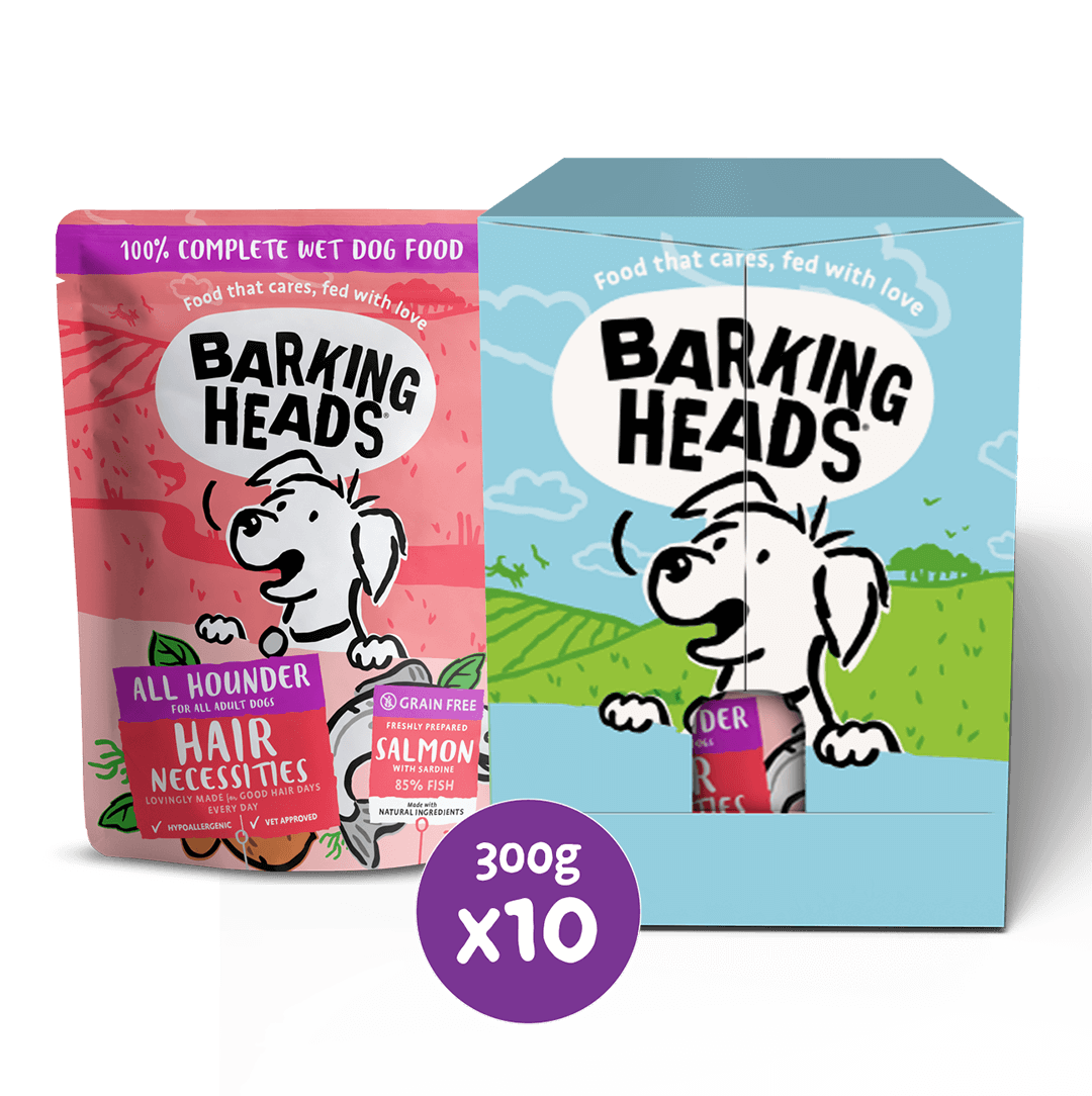 Hair Necessities Wet Dog Food All Hounder