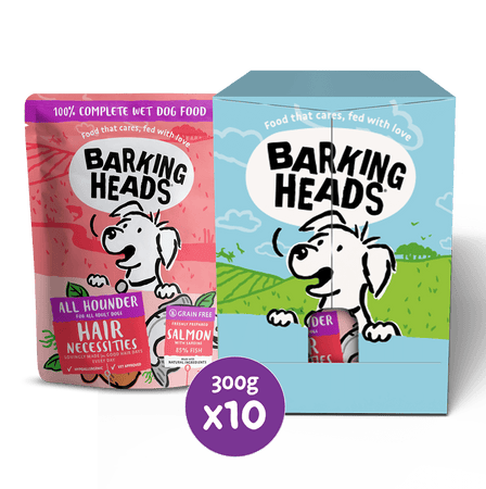 Hair Necessities Salmon Wet Dog Food